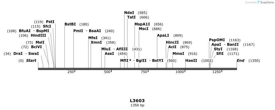 16705_map