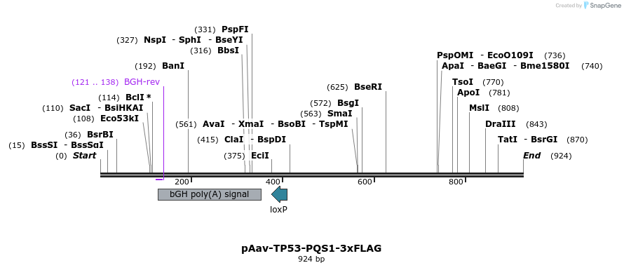 167059_map