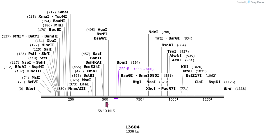 16706_map