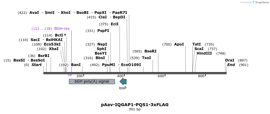 167071_map