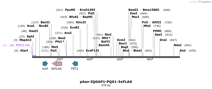 167072_map