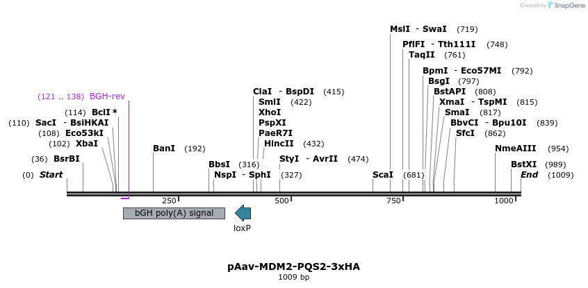 167073_map