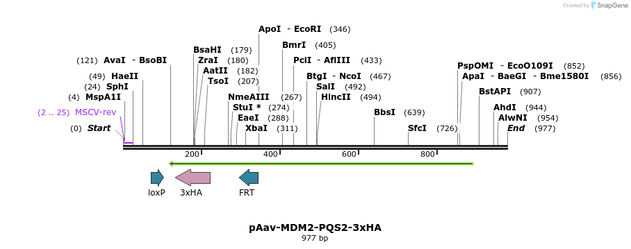 167074_map