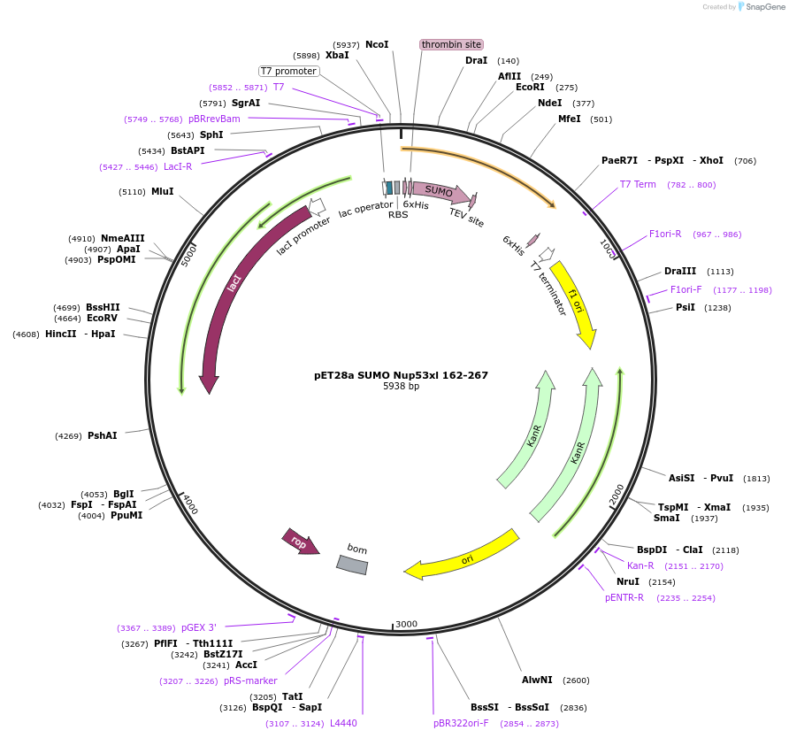 167078_map