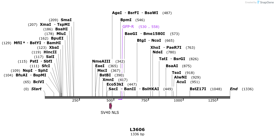 16708_map