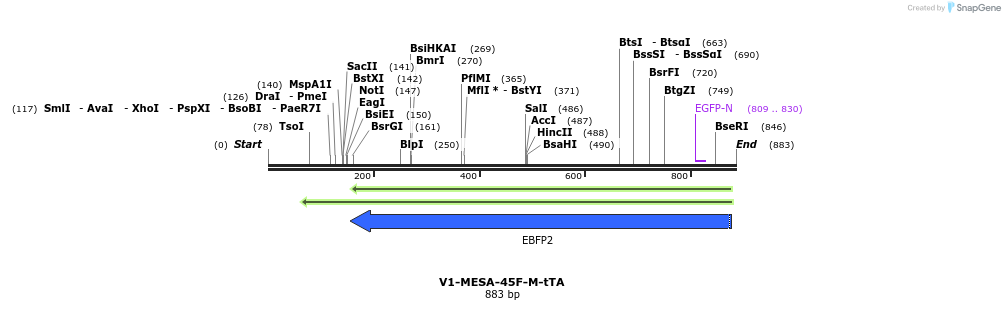 167084_map