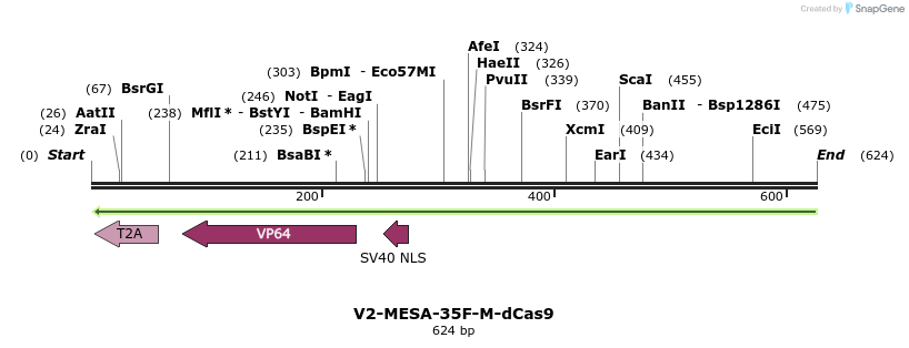 167096_map