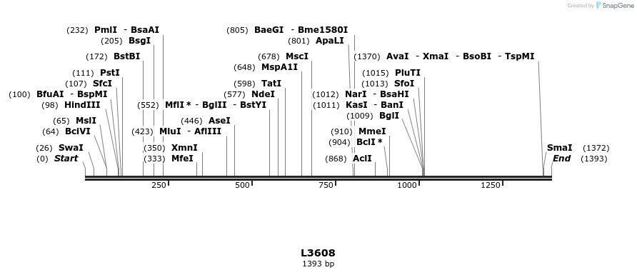 16710_map