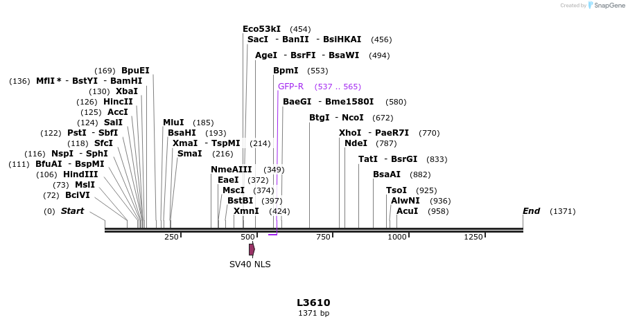 16712_map