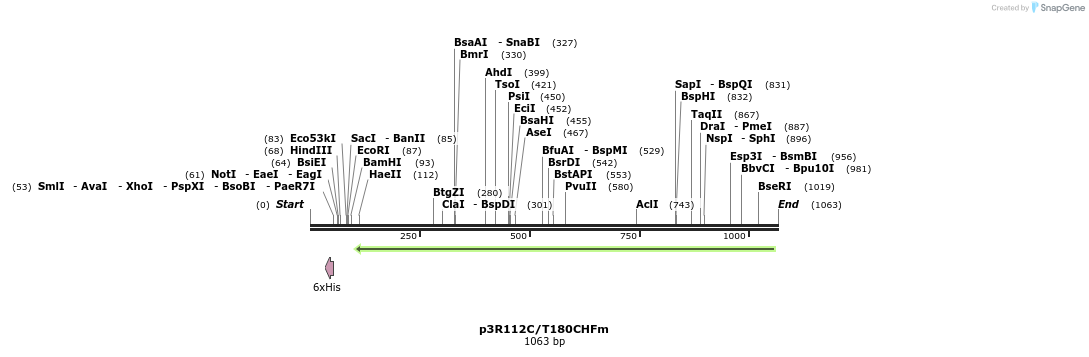 167122_map
