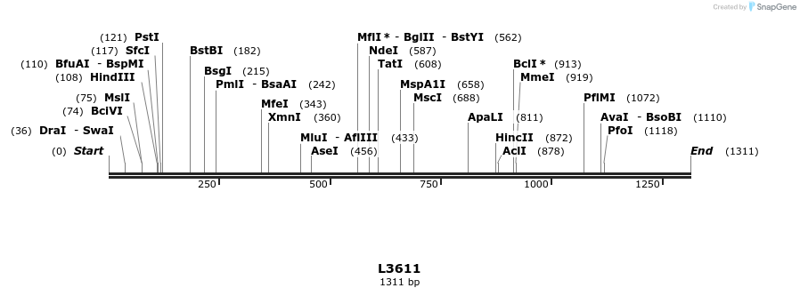 16713_map