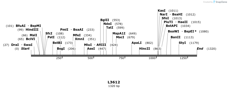 16714_map