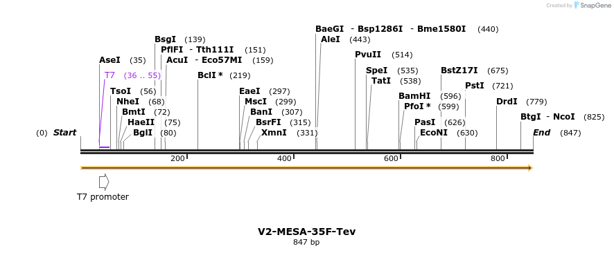 167142_map