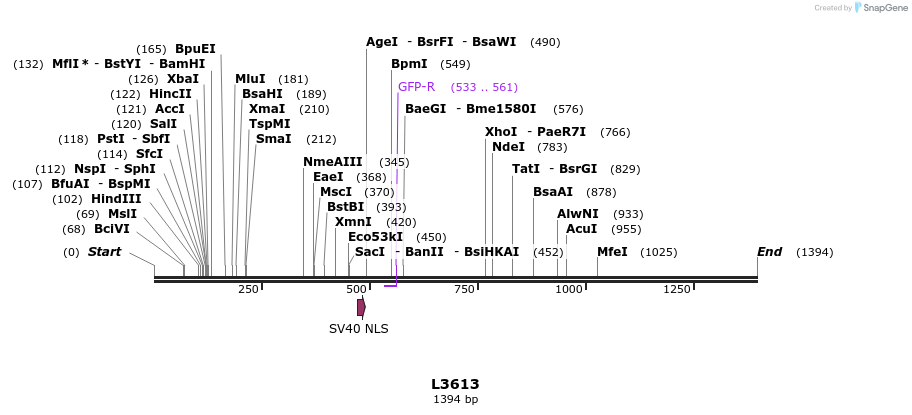 16715_map