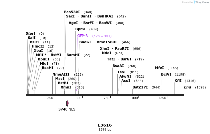 16717_map