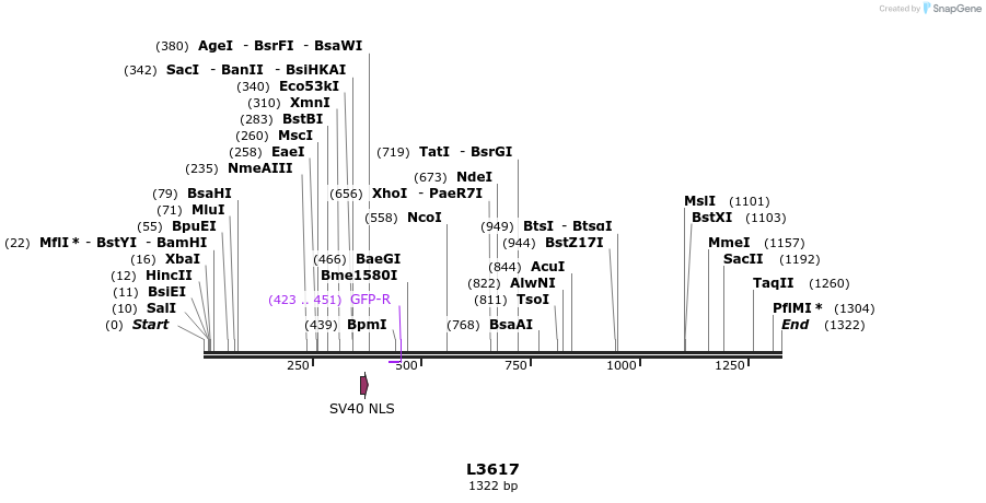 16718_map