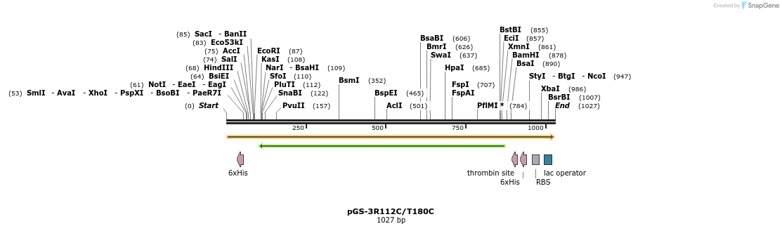 167183_map