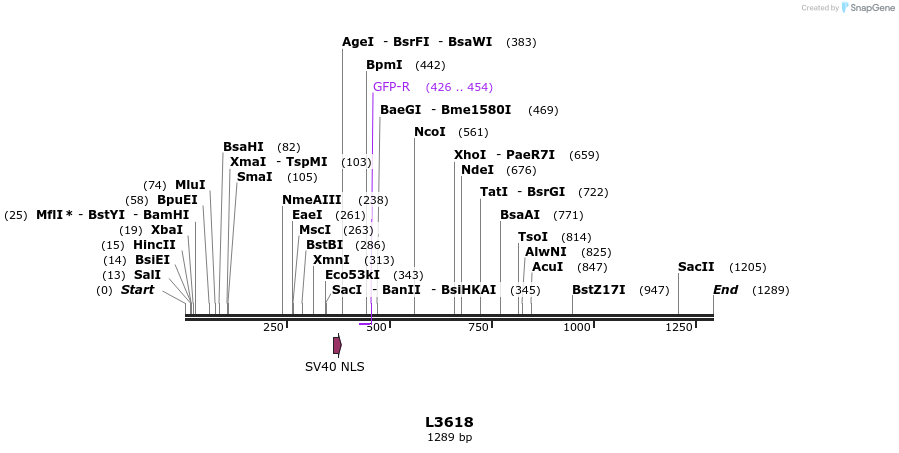 16719_map