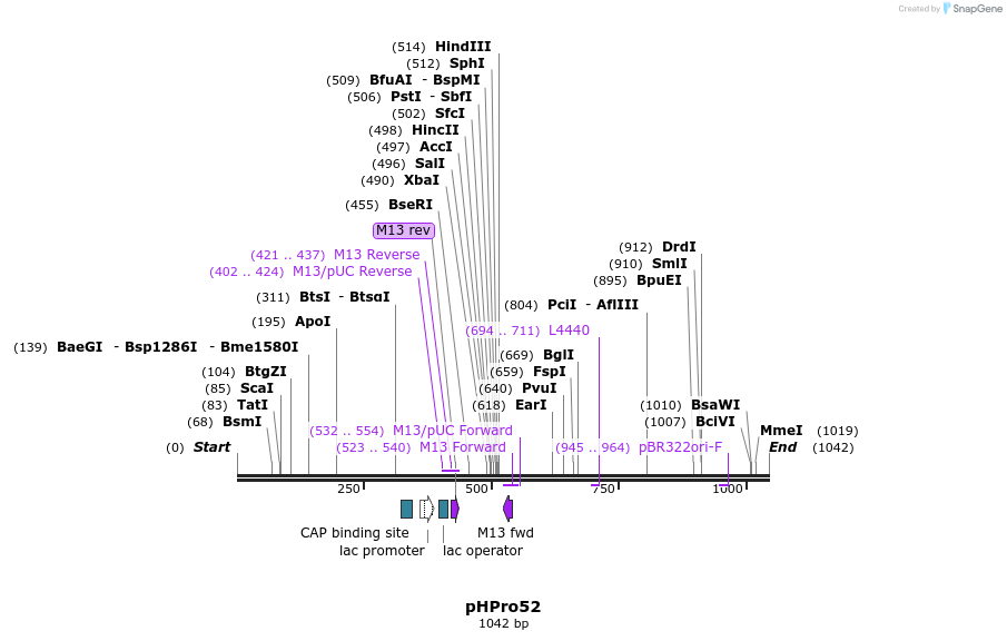 167205_map