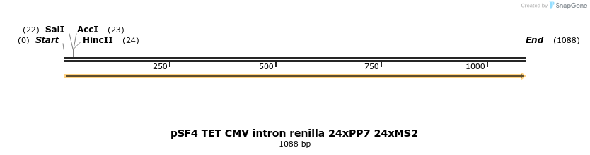 167213_map