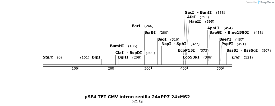 167214_map