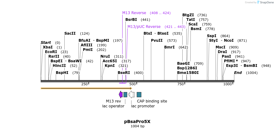167221_map