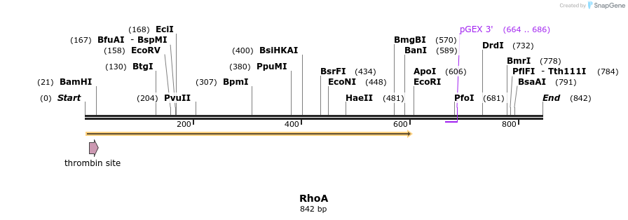 167223_map