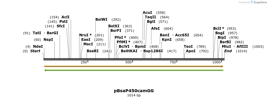 167226_map