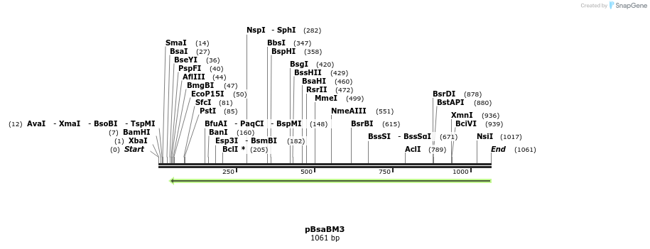 167228_map