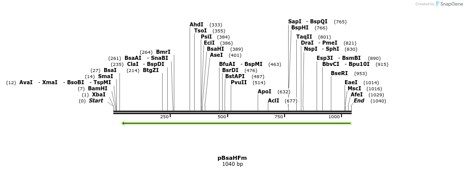 167230_map