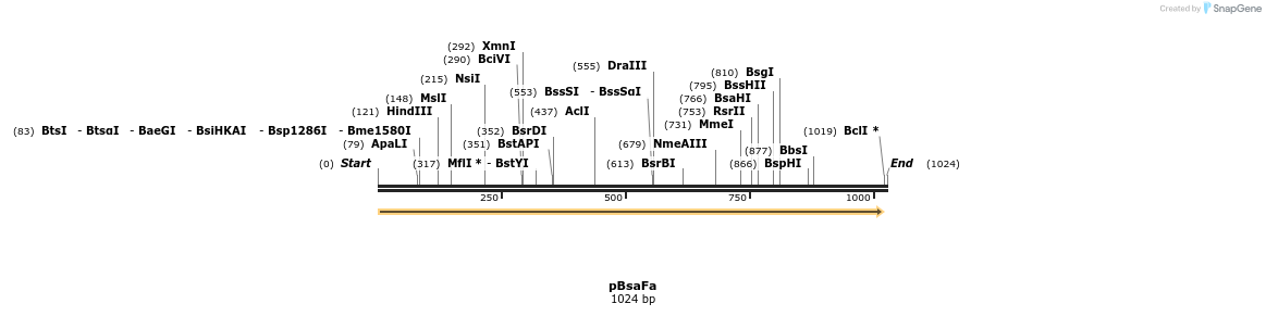 167231_map