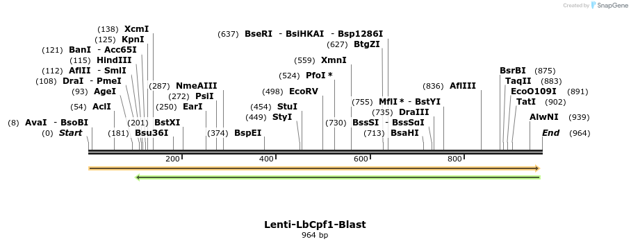 167237_map