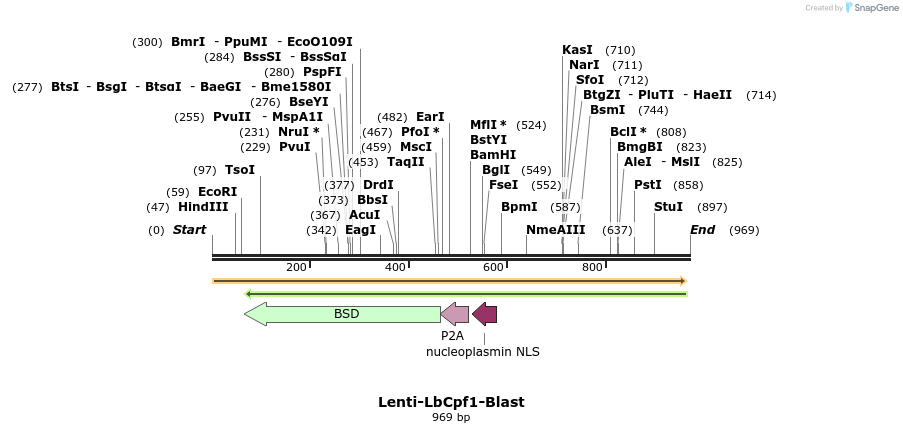 167238_map