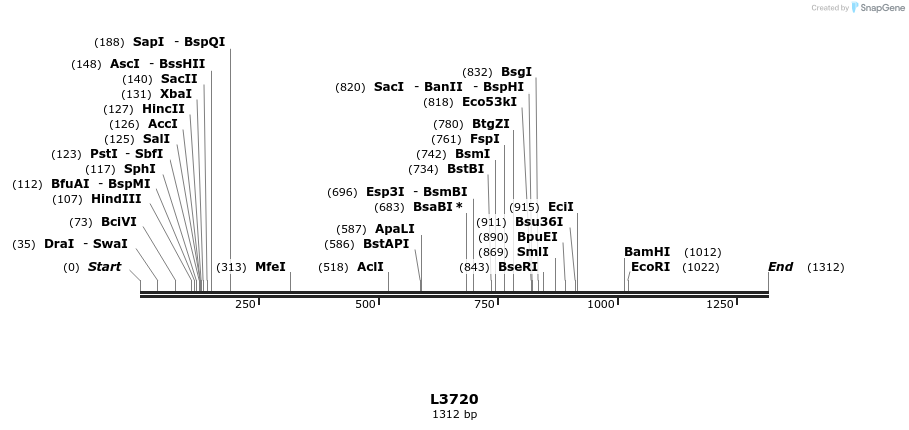16725_map