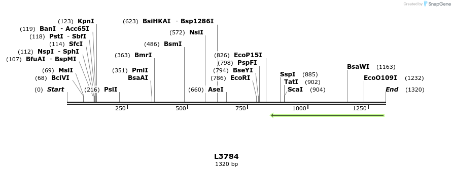 16728_map