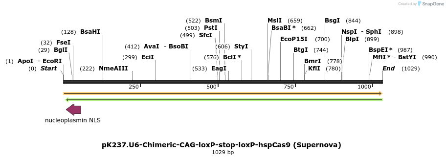 167281_map