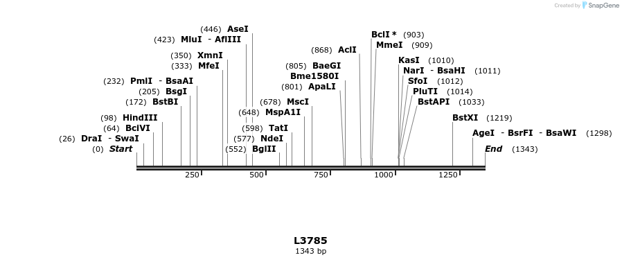 16729_map