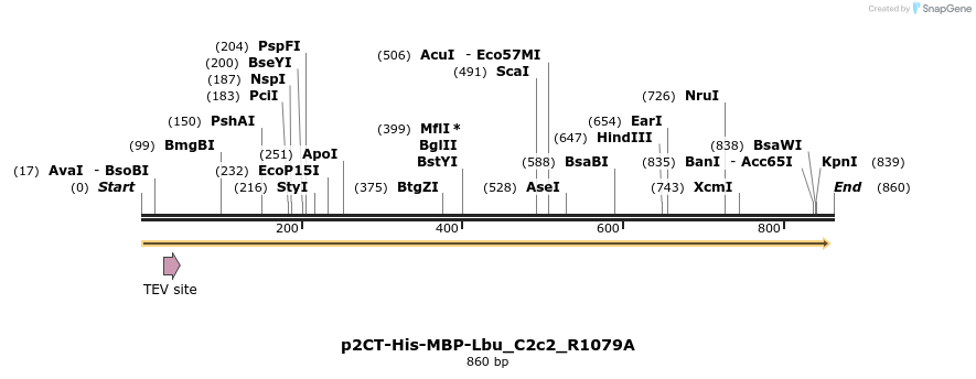 167318_map