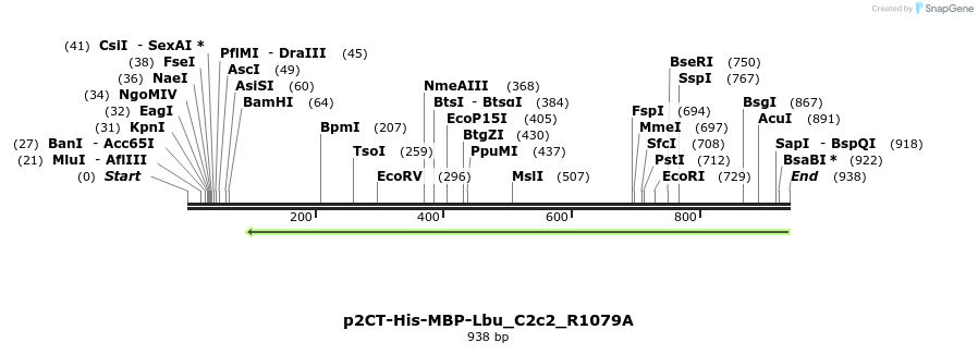 167321_map