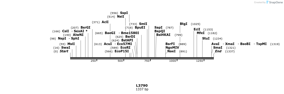 16733_map