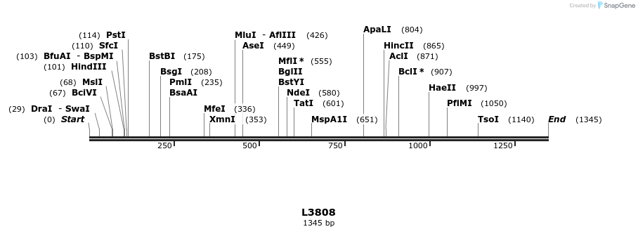 16734_map