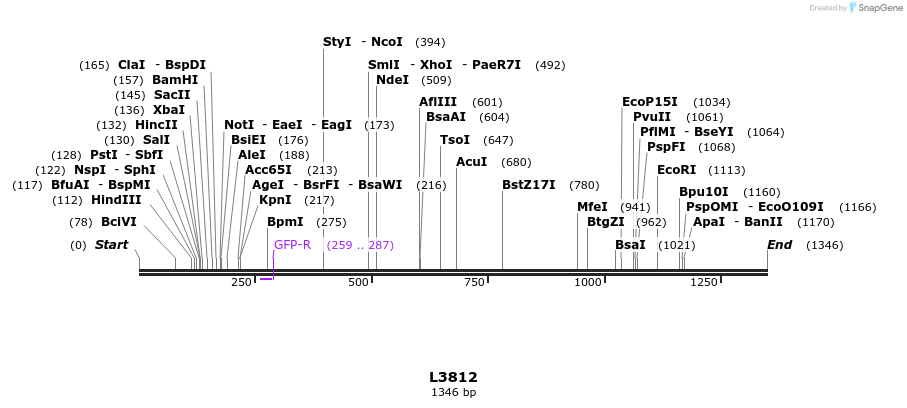 16737_map
