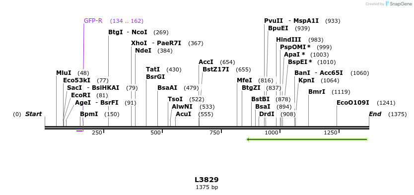 16738_map