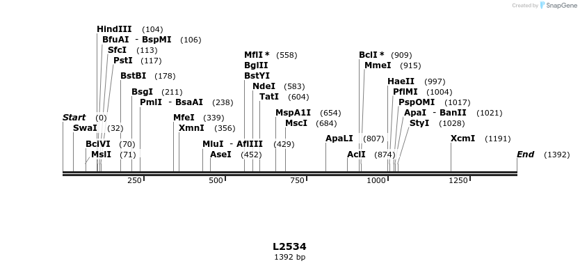 16742_map
