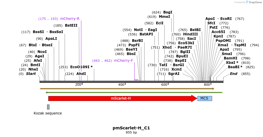 167420_map