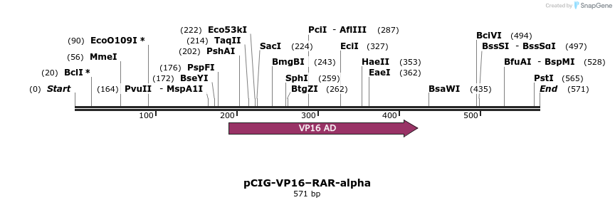 167425_map