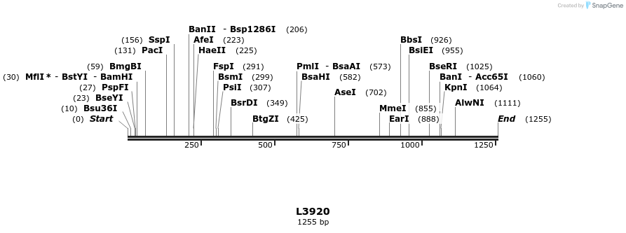 16743_map