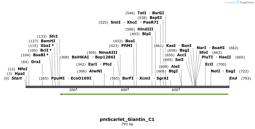 167435_map