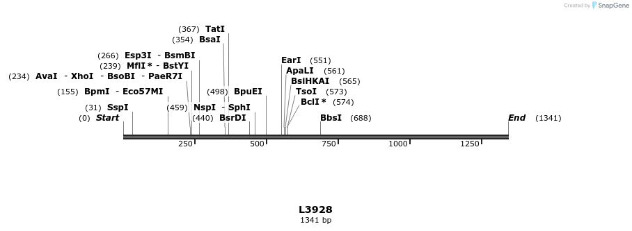 16745_map