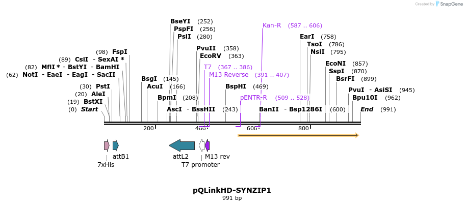 167457_map